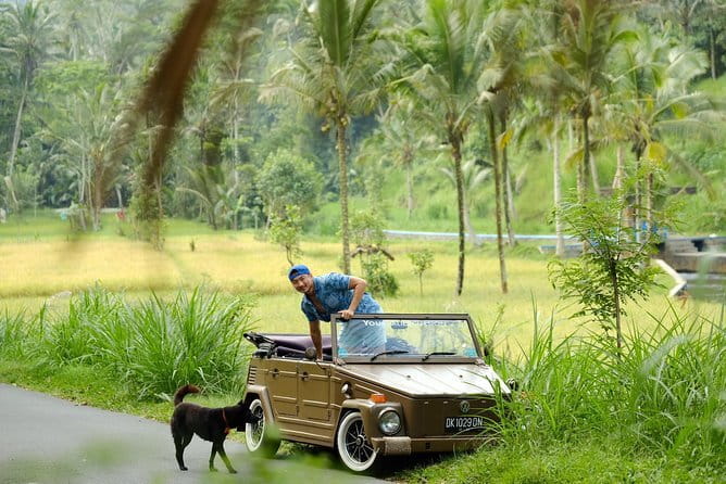 Mt Batur Sunrise Jeep & Natural Hot Spring Tour - Duration and pacing: a full day with two very different moods