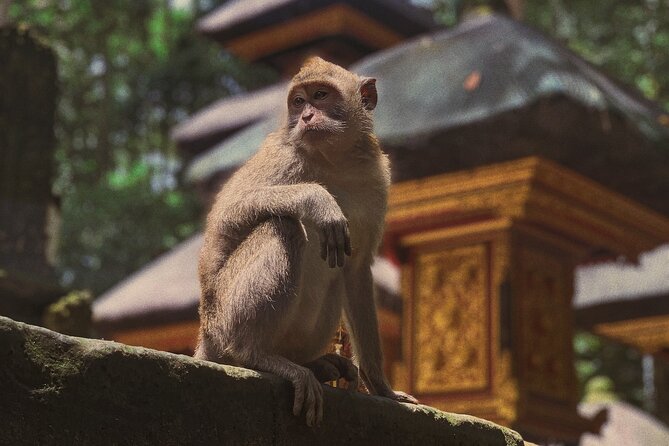 Munduk: Tamblingan jungle trek, waterfall, Ulun Danu temple - Getting to Munduk: an early start with real payoff