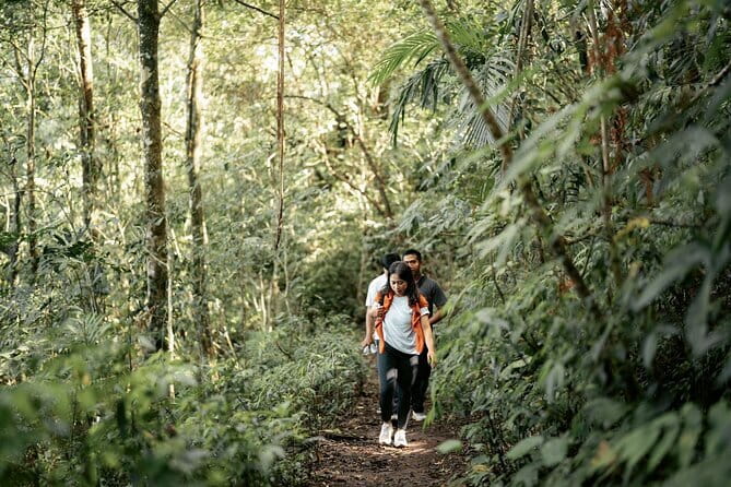 Munduk Twin Lake Jungle Hike, Ulun Danu Temple, & Waterfall - Rainforest trekking: what you actually do on the trail