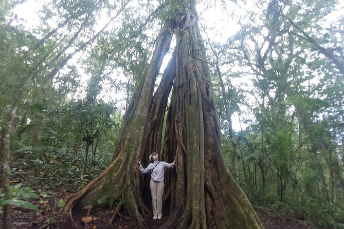 Munduk Twin Lake Jungle Trek with Sacred Forest Temples&Canoeing - Rainforest trekking around Lake Buyan and Tamblingan