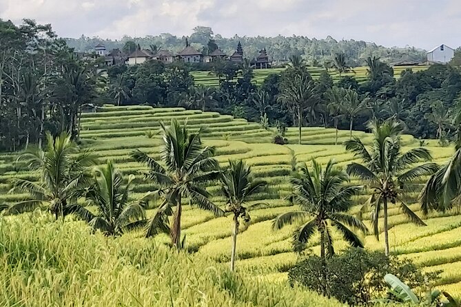 North Bali Private Tour - All Inclusive - Photo help that doesn’t feel like a forced photoshoot