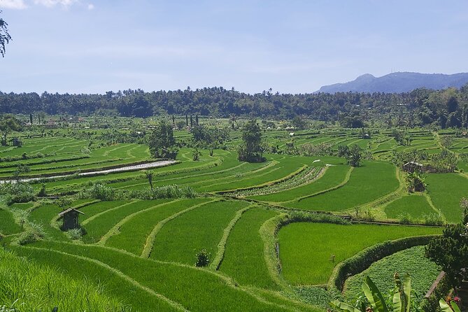 North Bali Private Tour - All Inclusive - Your route in order, with realistic time on each stop