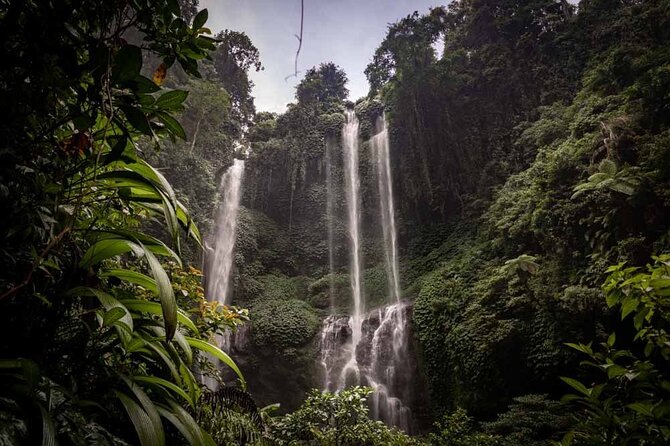 North Bali Tour: Banyumala Waterfall & Wanagiri Hidden Hills - Key highlights