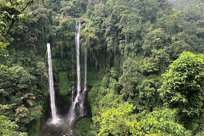 North Bali Tour: Banyumala Waterfall & Wanagiri Hidden Hills - North Bali in One Day: What This 10-Hour Loop Actually Feels Like