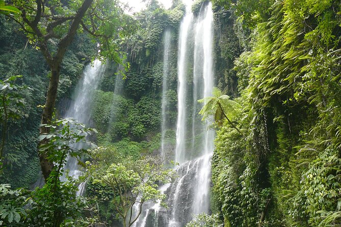 North Bali Tour: Banyumala Waterfall & Wanagiri Hidden Hills - Getting Picked Up in Ubud: Transfers, Mobile Ticket, and Timing