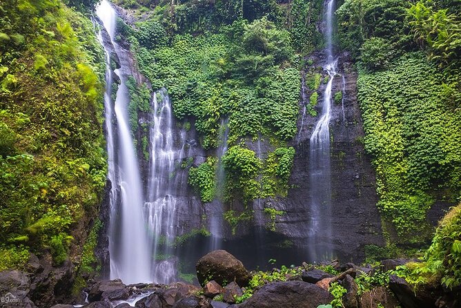 North Bali Tour: Banyumala Waterfall & Wanagiri Hidden Hills - Price and Value Check: Is $80 Fair for a North Bali Private Tour?
