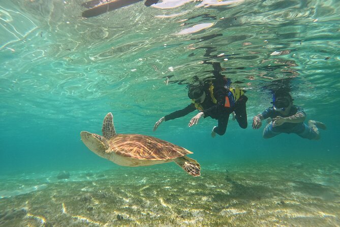 Nusa Penida & Gili Trawangan 3Days 2Night (Snorkeling) - Price and value at $343 per person, what you are really paying for