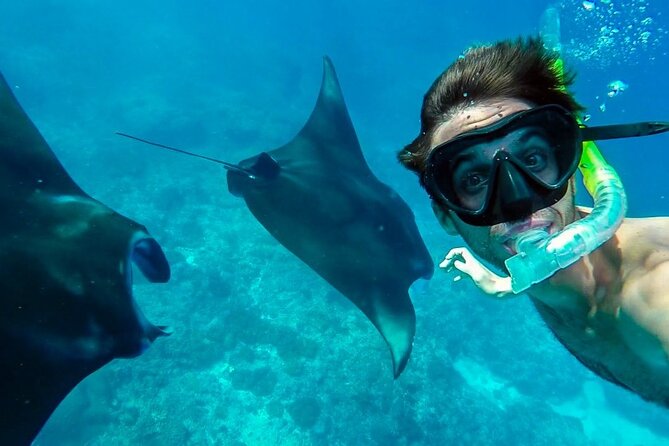 Nusa Penida Snorkeling 3 Point with Manta Bay & Land Tour - Snorkeling on Penida: how to make Manta Bay, Gamat, and Crystal Bay worth it