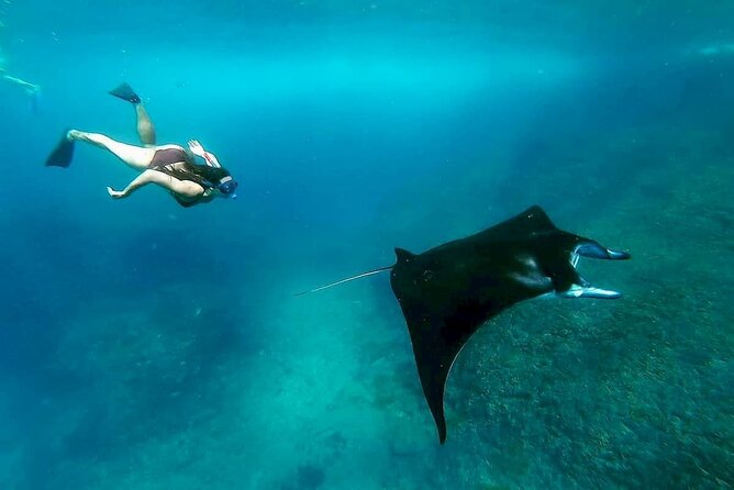 Nusa Penida Snorkeling 3 Point with Manta Bay & Land Tour - Sanur to Penida fast boat: what the crossing feels like