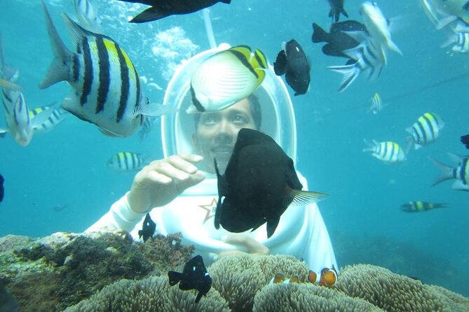Nusa Penida Trip with Snorkeling all-Inclusive - Penida’s cliff viewpoints: Kelingking, Broken Beach, and Angel’s Billabong
