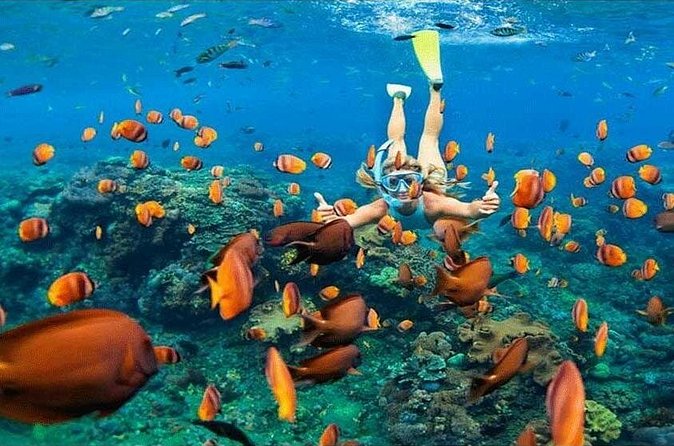 Nusa Penida Trip with Snorkeling all-Inclusive - Transport style: why private transfers make Penida feel easier