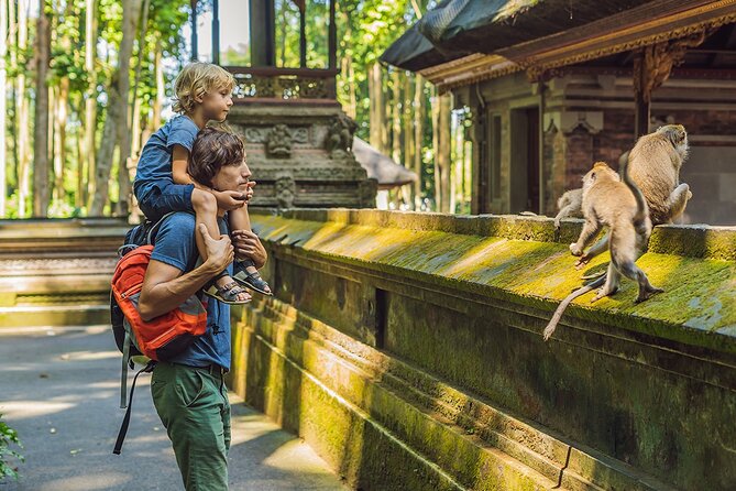 One Day Tour Ubud With Private Guide - Key Highlights You Should Know