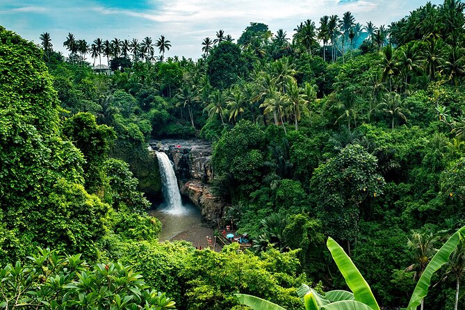 One Day Tour Ubud With Private Guide - Coffee Plantation Break: Tea, Coffee Making, and a Warm Pause