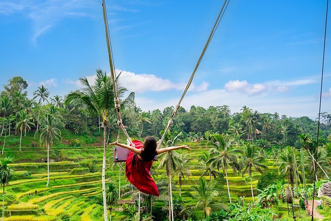 One Day Tour Ubud With Private Guide - Final Waterfall Stop: Ulu Petanu or Tegenungan, Plan to Confirm