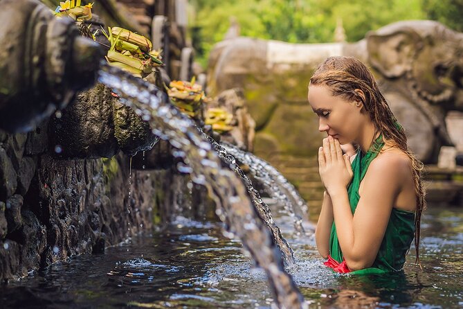 One Day Tour Ubud With Private Guide - Price and Value: Why This Costs So Little, and What Might Add Up