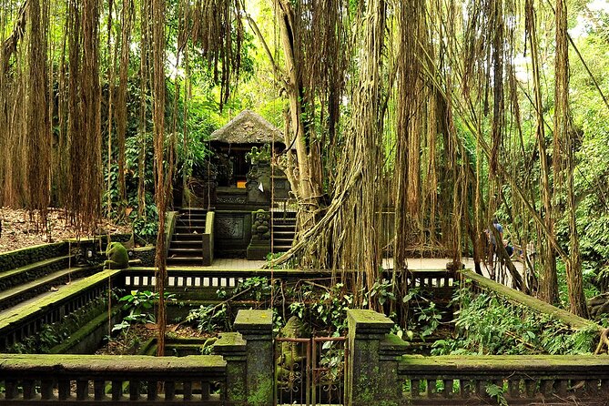 One Day Tour Ubud With Private Guide - Private Guide, Real Explanations, and Better Timing