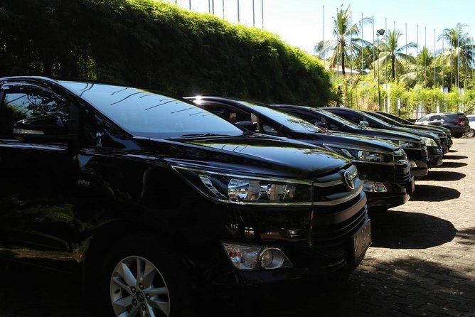 Private Bali Airport Arrival Transfer: Airport to Hotel (Arrival) - Vehicle Choice for 1 to 10: MPV, SUV, or Minibus