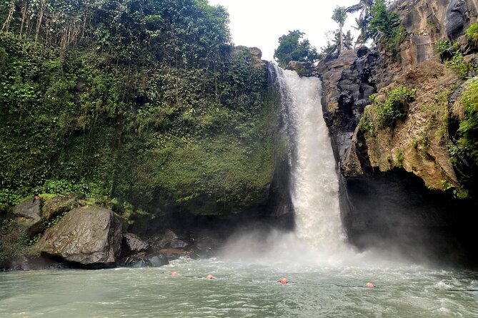 Private Bali Custom Tour – Full Day with English-Speaking Driver - The real value of a private Ubud day with an English driver