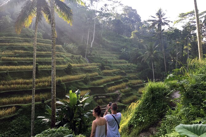 Private Bali Custom Tour – Full Day with English-Speaking Driver - Rice terraces and ritual water stops near Ubud