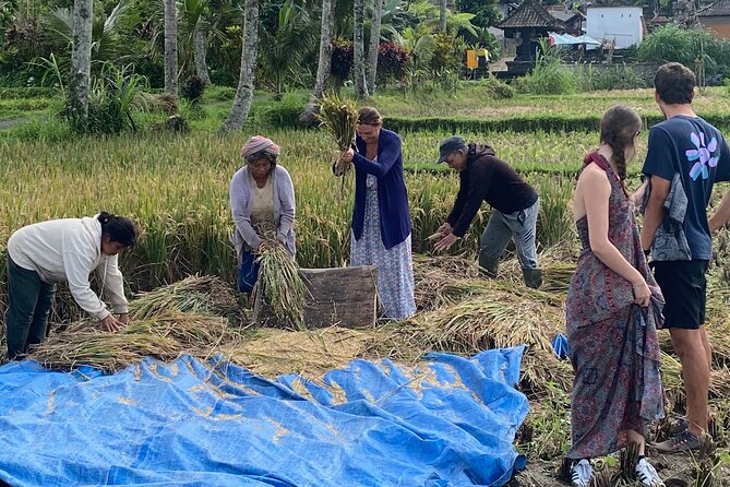 Private Bali Custom Tour – Full Day with English-Speaking Driver - Waterfalls, caves, and jungle walks