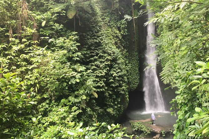 Private Bali Custom Tour – Full Day with English-Speaking Driver - Monkey forests, bird park, and family-friendly add-ons