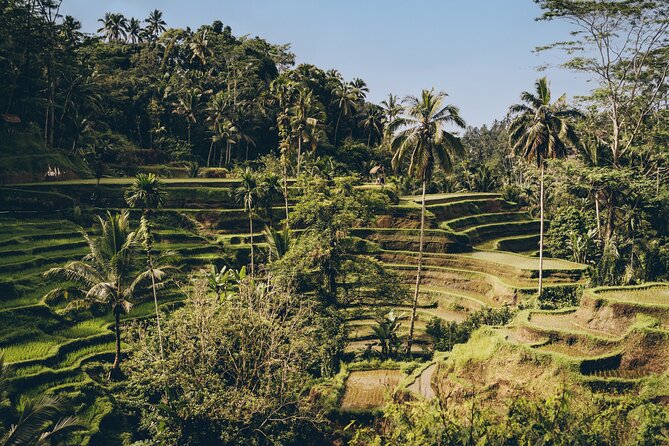 Private Bali Custom Tour – Full Day with English-Speaking Driver - How to build an itinerary that works in 8 to 10 hours