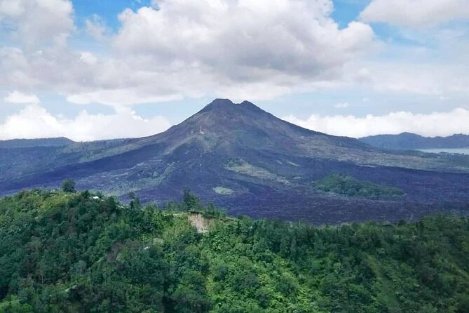 Private Bali Tour: Kintamani Volcano and Besakih Temple - Price and value: what $72 per person really covers