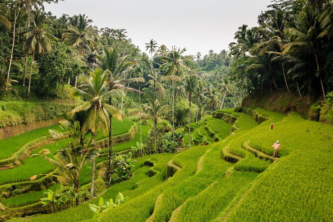 Private Bali Tour: Kintamani Volcano and Besakih Temple - Who this private day trip fits best