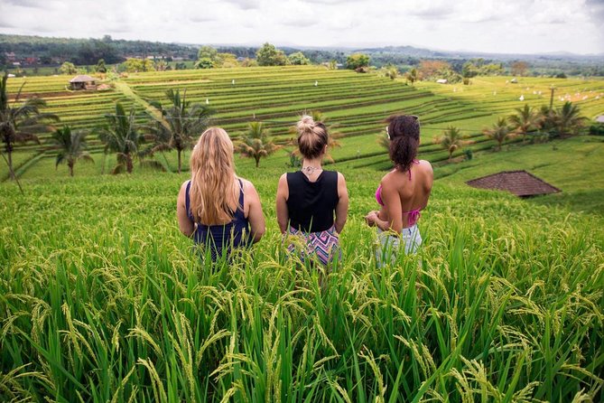 Private Bali Tour: The Most Scenic Places - Stop 4, Jatiluwih Rice Terraces and the Subak System