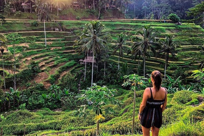 Private Bali Tour: Wonderful Ubud with Swing - Stop 3, Terrace River Pool Swing (Plus Coffee Production): The Adrenaline Moment