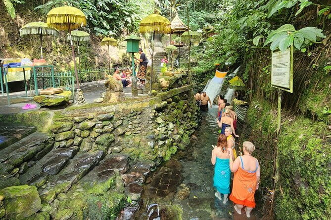 Private Balinese Purification in Holy Water at Temple with Local - Key highlights