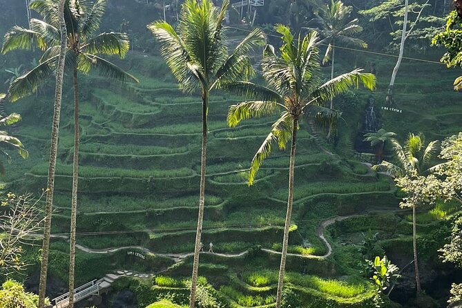 Private Car Charter Tour With Driver In Bali - Why a private Ubud car day beats timing buses