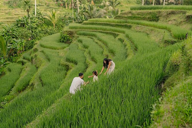 Private Customize Ubud Day Tour With Experienced Driver - Key points before you go