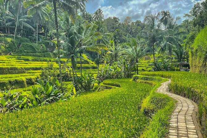 Private Customize Ubud Day Tour With Experienced Driver - Sacred Monkey Forest Sanctuary: iconic jungle, real monkey energy