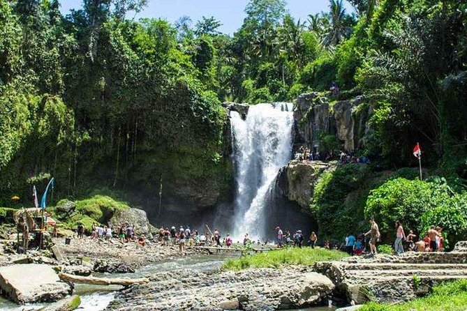 Private Day Tour: The Highlight of Ubud - How the day flows, from pickup to drop-off