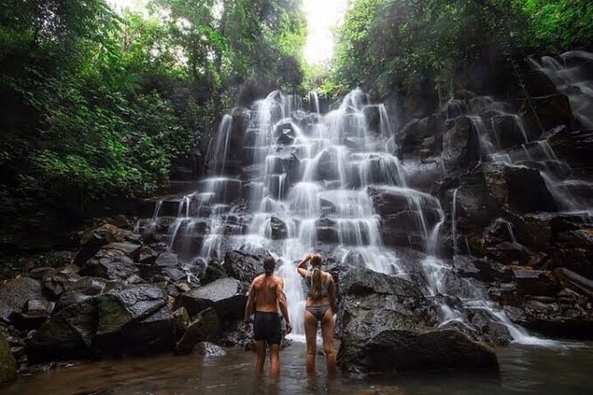 Private Day Tour To Waterfalls And Ubud Sightseeing - Key highlights before you go