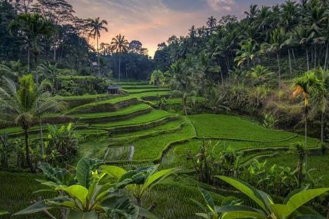 Private Day Tour To Waterfalls And Ubud Sightseeing - Kanto Lampo Waterfall: terraced rock formations and easy photo angles