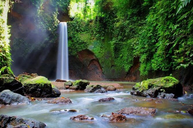 Private Day Tour To Waterfalls And Ubud Sightseeing - Coffee plantation tasting: a sweet ending with a real flavor payoff