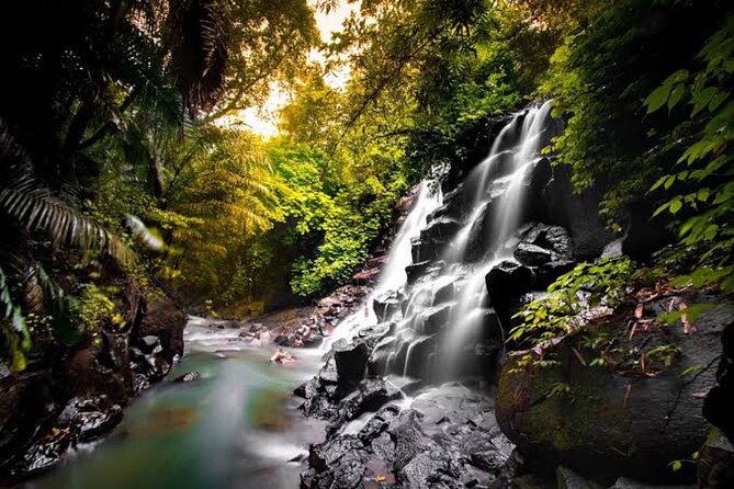 Private Day Tour To Waterfalls And Ubud Sightseeing - Price and value: what $42 buys you for a private Ubud day
