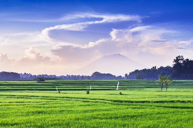 Private Experience: Bali Village Tour - Tegalalang Rice Terrace: Iconic Photos and Traditional Farming