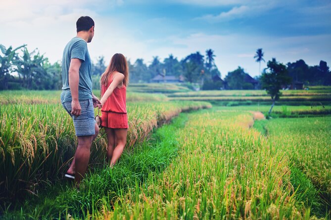 Private Experience: Bali Village Tour - The Real Value: Price, What’s Included, and Why It Adds Up