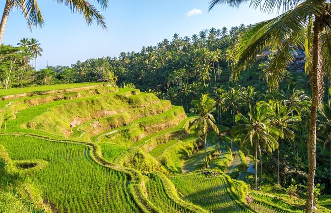 Private Fat Tire E-Bike Tour in Ubud - Key things I’d watch for before you ride