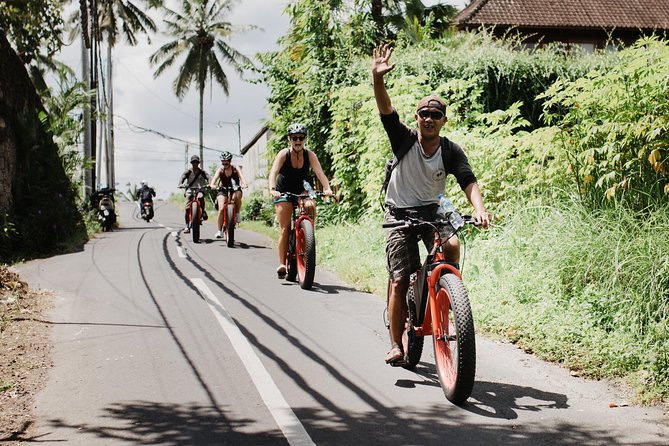 Private Fat Tire E-Bike Tour in Ubud - Building your own route between Tegalalang and Campuhan Ridge