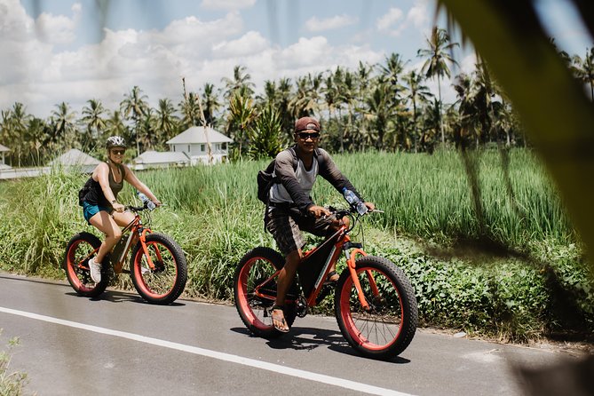 Private Fat Tire E-Bike Tour in Ubud - Snacks, bottled water, and a meal so the ride stays enjoyable