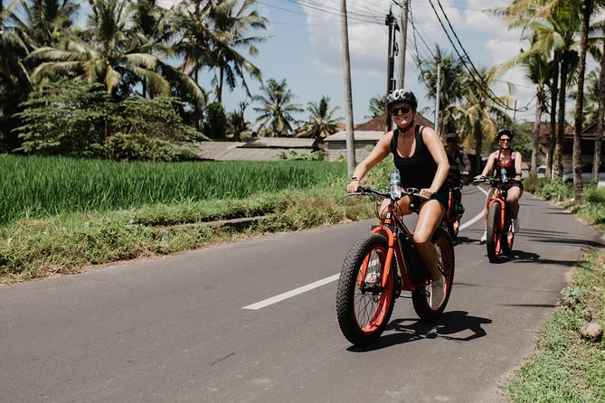 Private Fat Tire E-Bike Tour in Ubud - How strenuous is the ride, and who should feel comfortable?