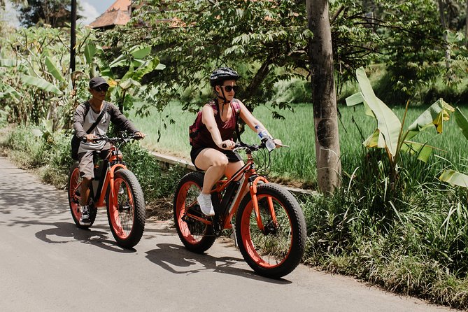 Private Fat Tire E-Bike Tour in Ubud - Guide quality is the whole experience, especially on private rides