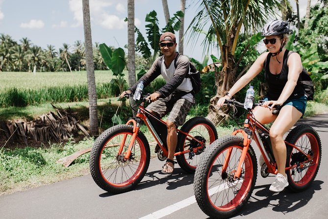 Private Fat Tire E-Bike Tour in Ubud - Tegalalang Rice Terrace stop: brief photo time, then back on the bike
