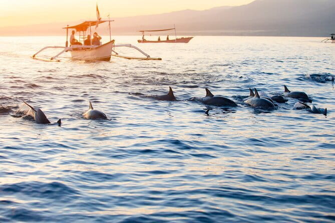 Private Full - Day Nusa Penida Island Tour - Pantai Diamond (Diamond Beach): The Cliff-Edge Stop That’s Worth Waking Up For