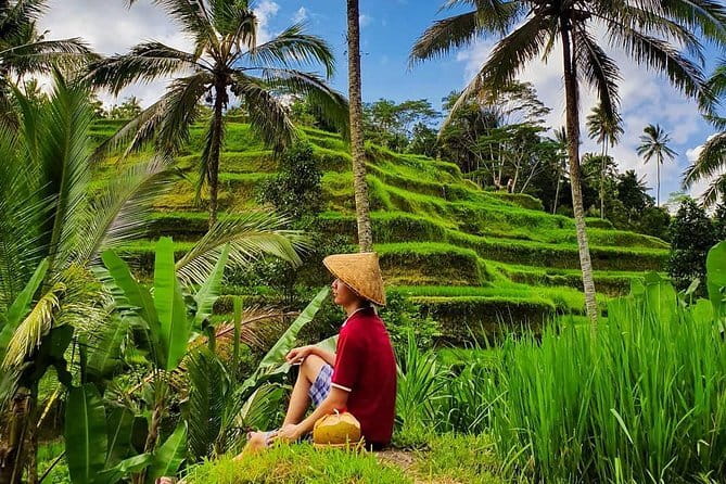 Private Full - Day Nusa Penida Island Tour - Rumah Pohon (Tree House) Near Atuh Beach: A Quick Climb That Feels Like a Scene