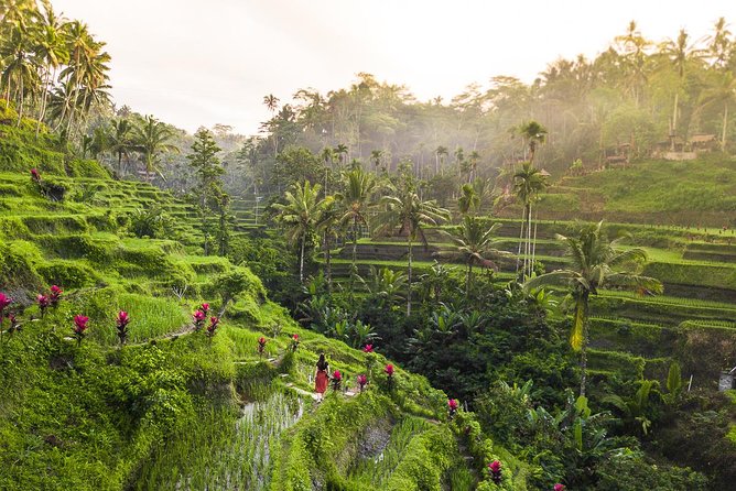 Private Full-Day Tour: Balinese Temples and Rice Terraces - Sacred Monkey Forest Sanctuary: seeing Bali’s macaques up close